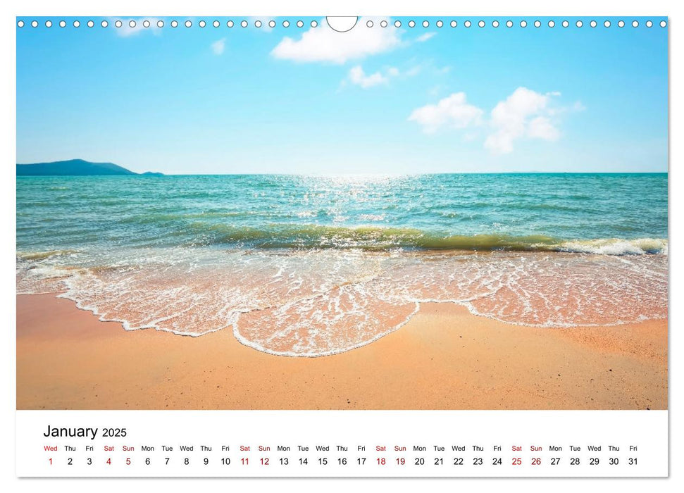 Tropical Vibes (CALVENDO Monthly Calendar 2025)