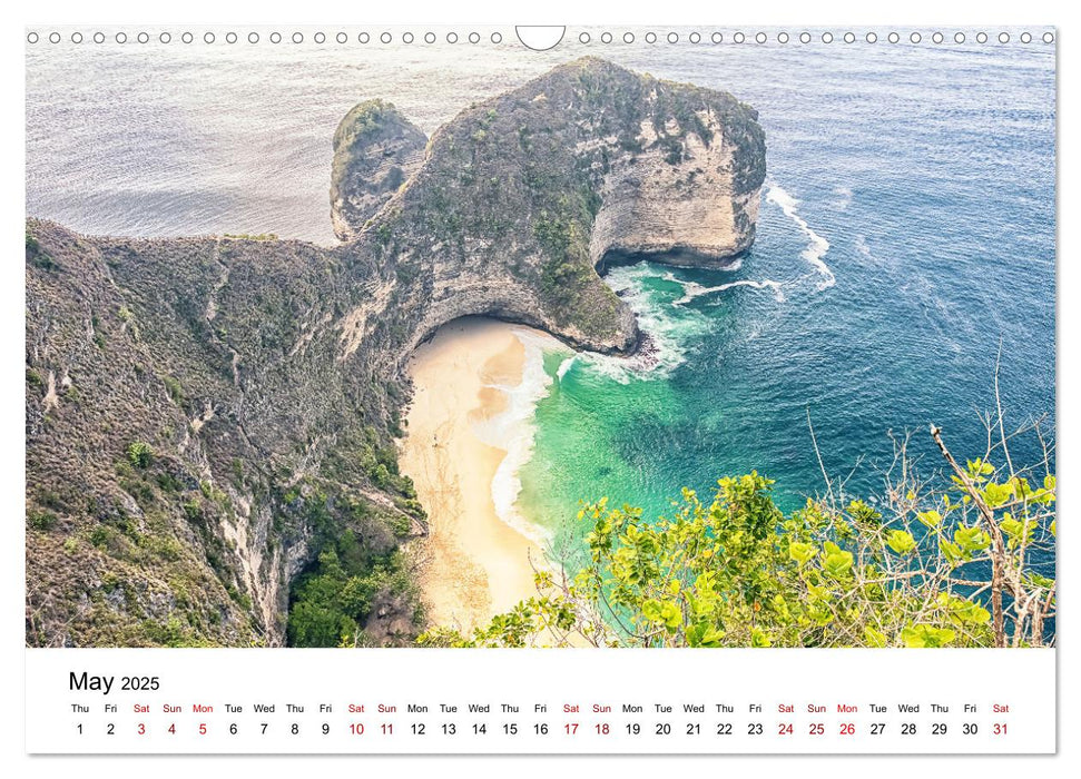 Tropical Vibes (CALVENDO Monthly Calendar 2025)