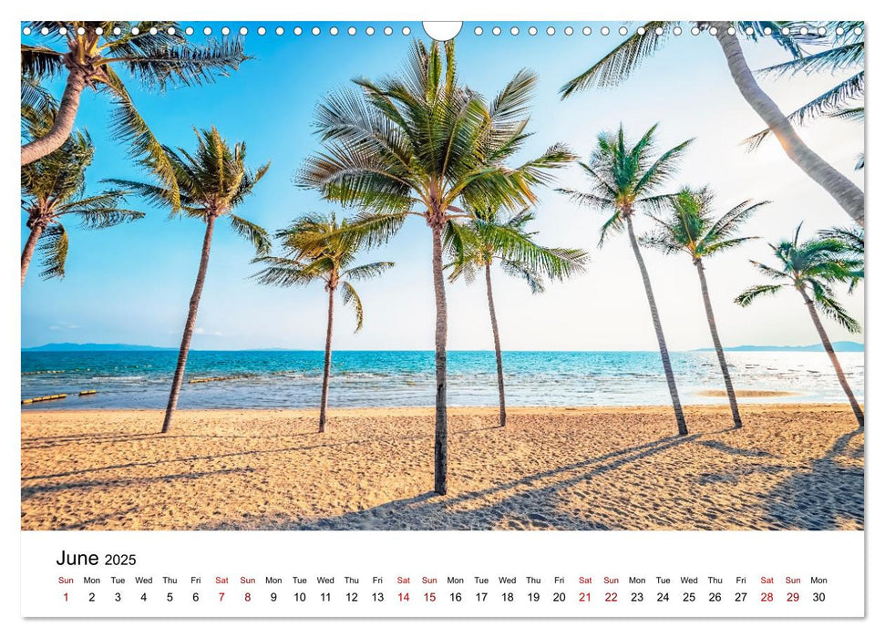 Tropical Vibes (CALVENDO Monthly Calendar 2025)