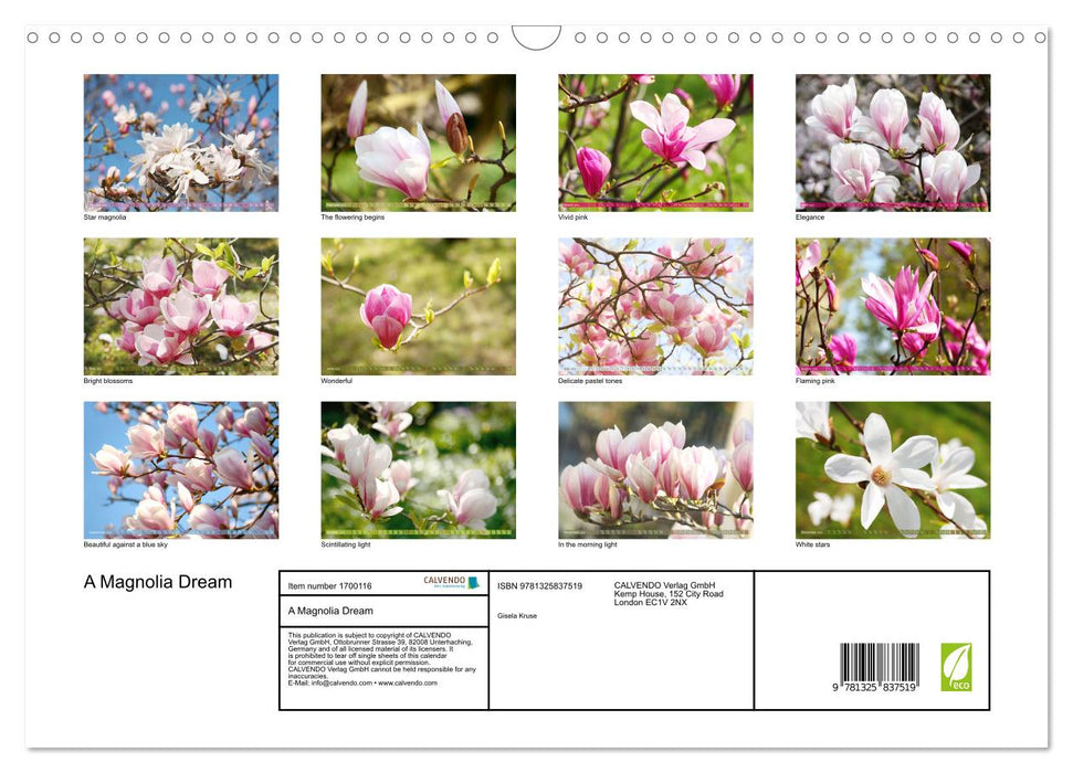 A Magnolia Dream (CALVENDO Monthly Calendar 2025)