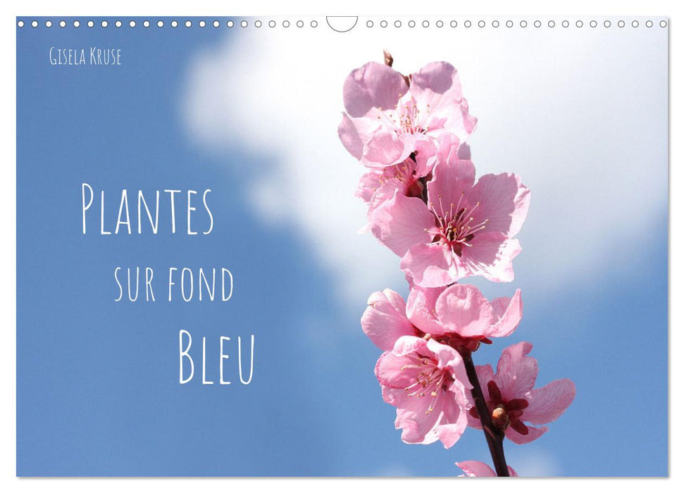 Plantes sur fond bleu (CALVENDO Calendrier mensuel 2025)