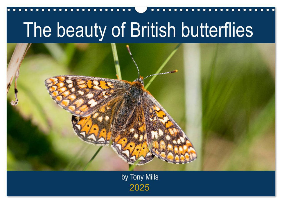 The beauty of British butterflies (CALVENDO Monthly Calendar 2025)