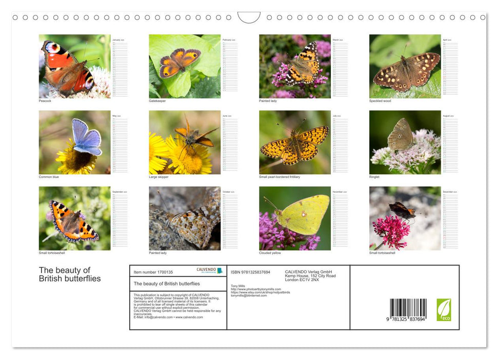 The beauty of British butterflies (CALVENDO Monthly Calendar 2025)