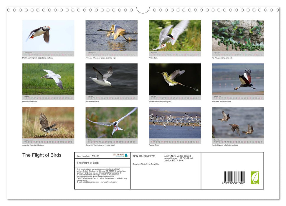 The Flight of Birds (CALVENDO Monthly Calendar 2025)