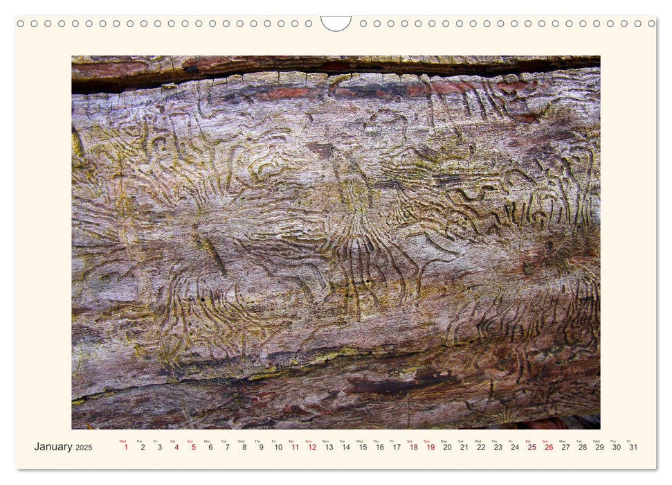 Tree Fantasies (CALVENDO Monthly Calendar 2025)