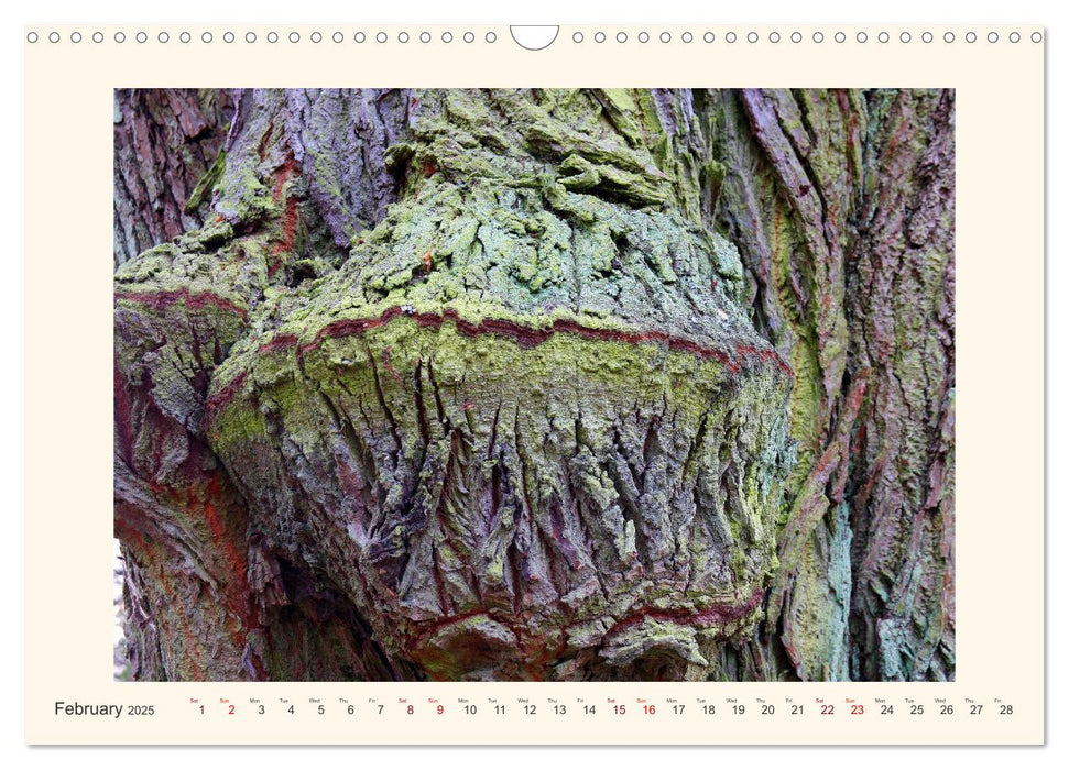 Tree Fantasies (CALVENDO Monthly Calendar 2025)