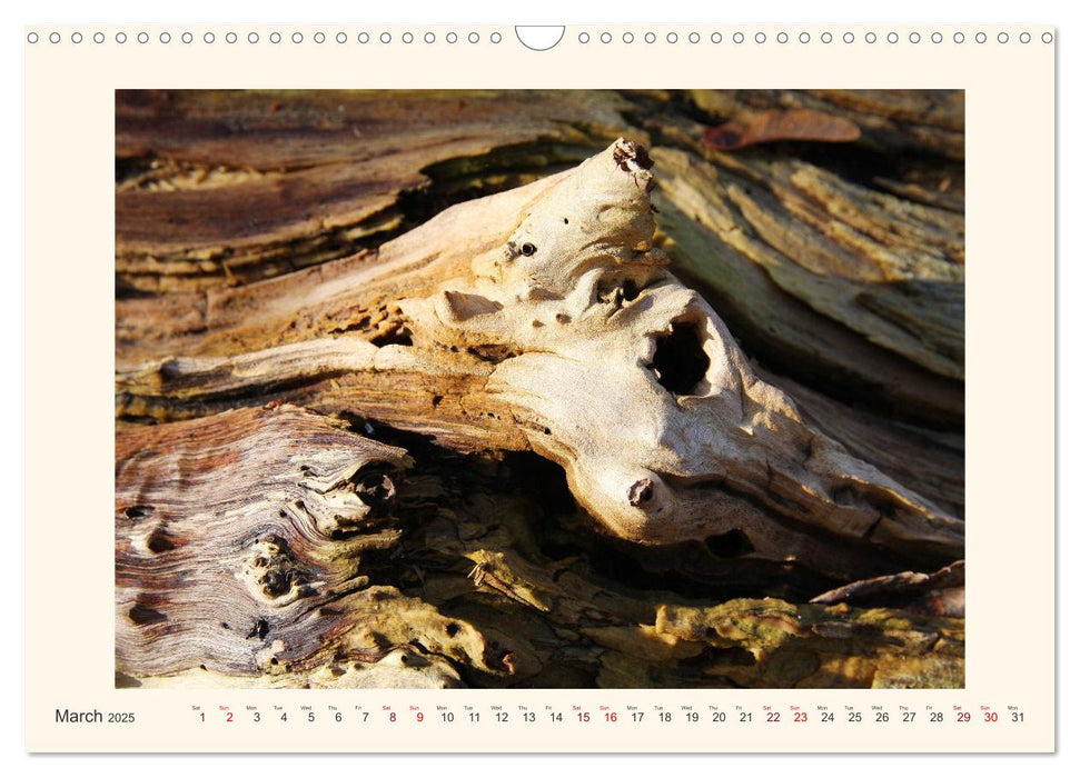 Tree Fantasies (CALVENDO Monthly Calendar 2025)