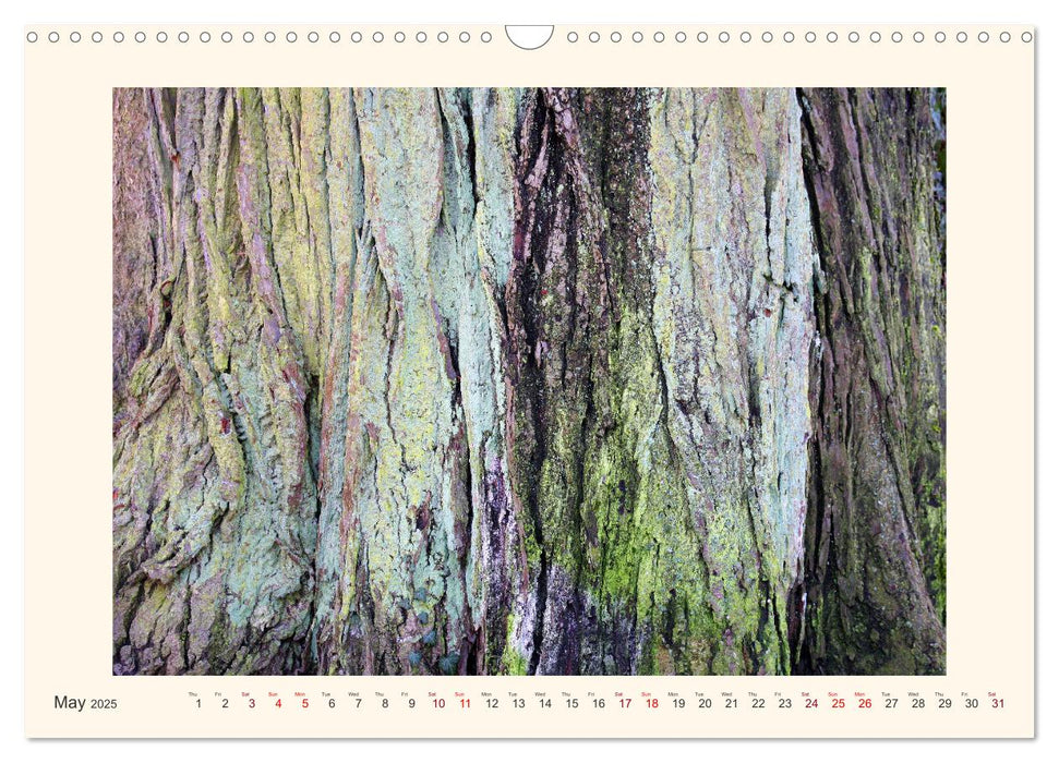 Tree Fantasies (CALVENDO Monthly Calendar 2025)