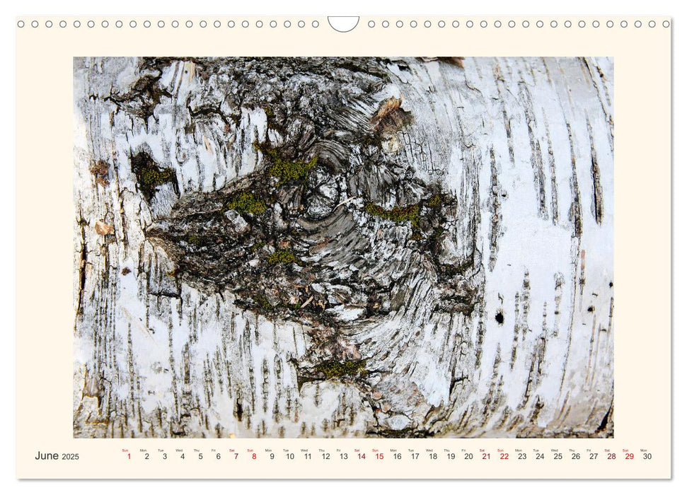 Tree Fantasies (CALVENDO Monthly Calendar 2025)