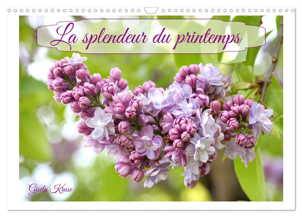 La splendeur du printemps (CALVENDO Calendrier mensuel 2025)