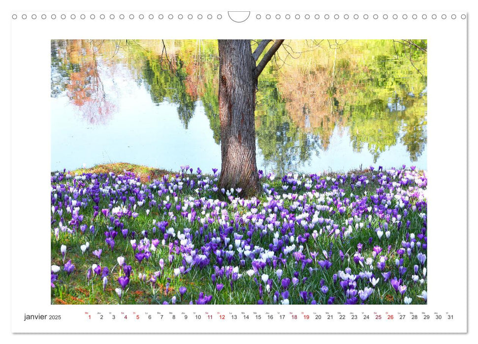 La splendeur du printemps (CALVENDO Calendrier mensuel 2025)