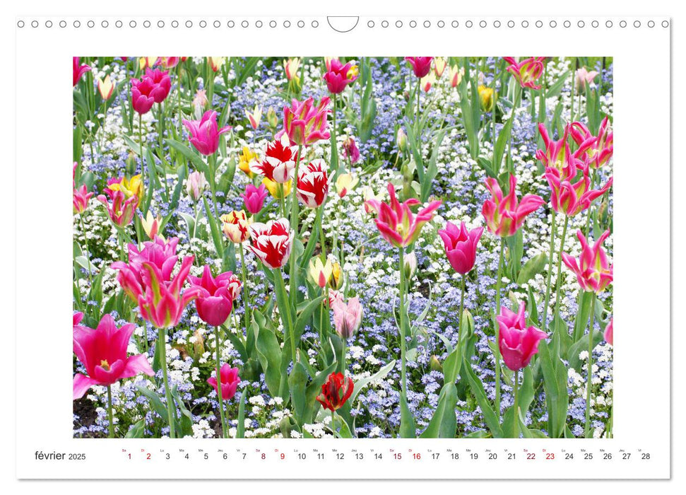 La splendeur du printemps (CALVENDO Calendrier mensuel 2025)