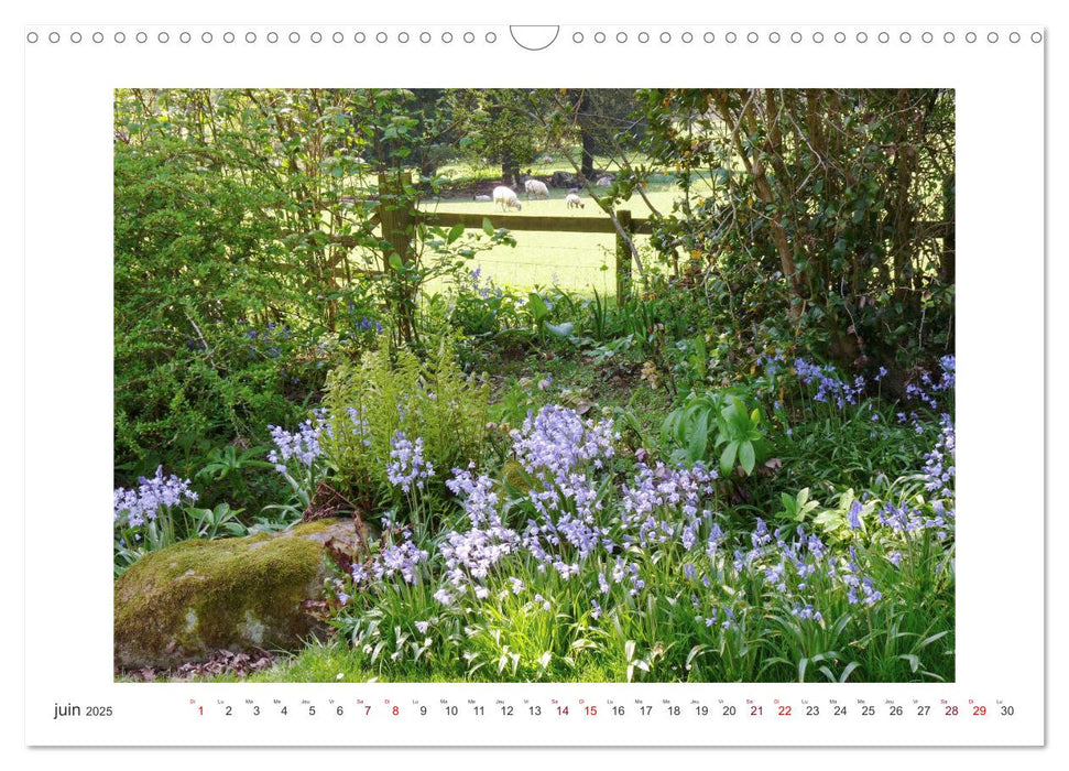 La splendeur du printemps (CALVENDO Calendrier mensuel 2025)