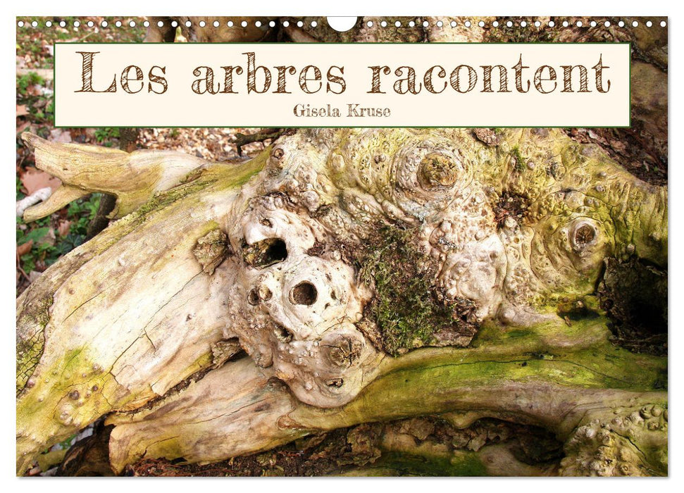 Les arbres racontent (CALVENDO Calendrier mensuel 2025)