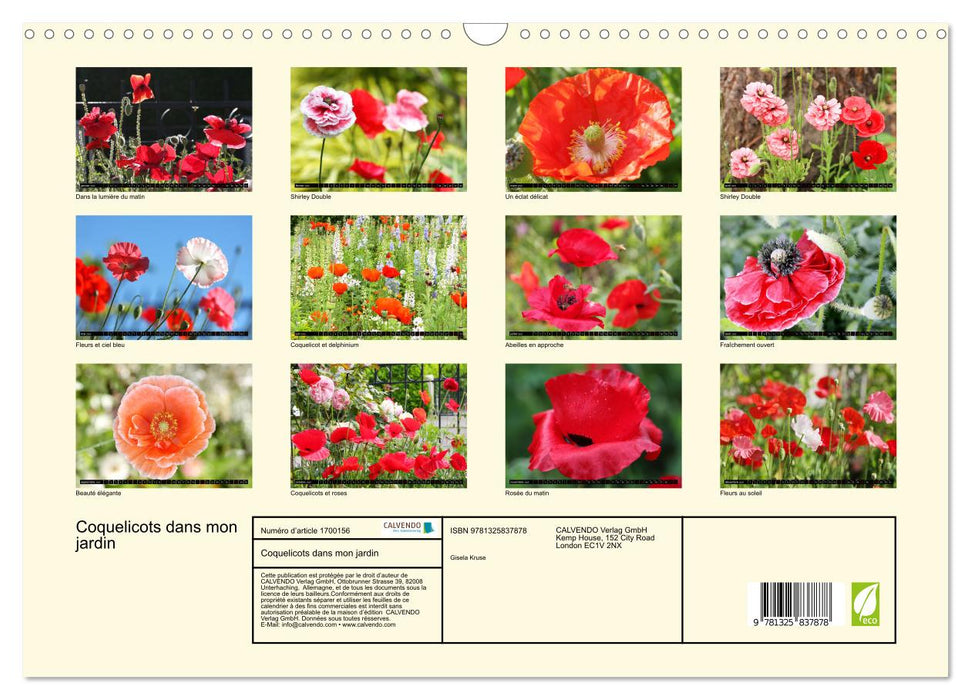 Coquelicots dans mon jardin (CALVENDO Calendrier mensuel 2025)