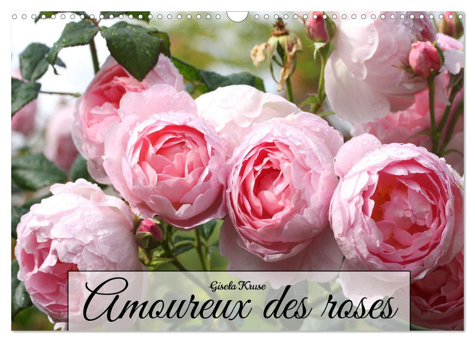 Amoureux des roses (CALVENDO Calendrier mensuel 2025)