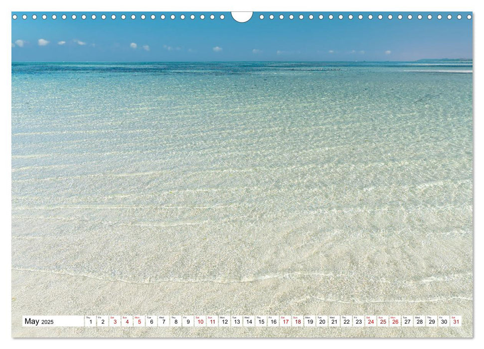 Zanzibar - a pearl of the Indian Ocean (CALVENDO Monthly Calendar 2025)