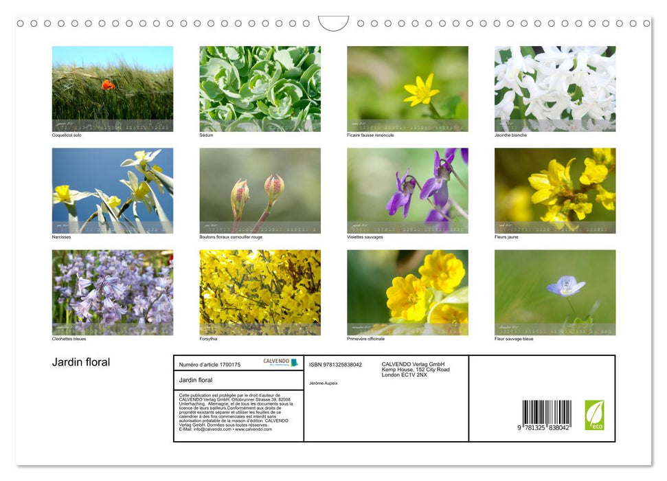 Jardin floral (CALVENDO Calendrier mensuel 2025)