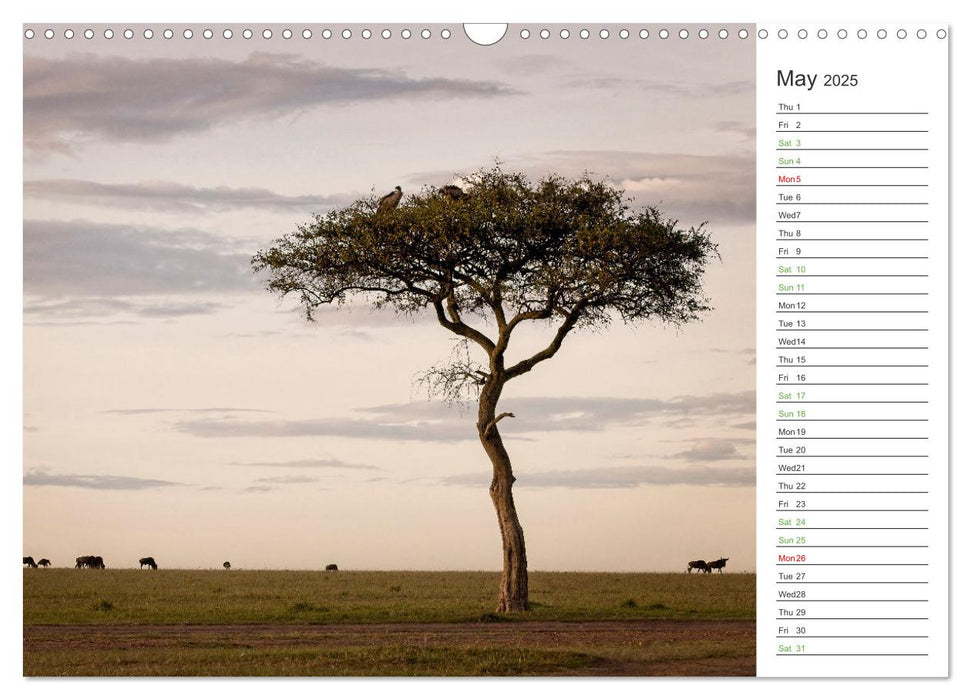 Kenya - its Wildlife (CALVENDO Monthly Calendar 2025)