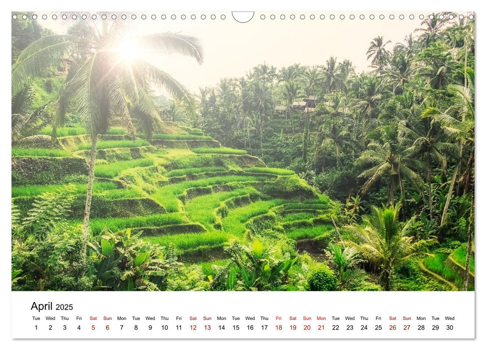 Bali, The Island Of Gods (CALVENDO Monthly Calendar 2025)