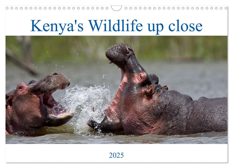 Kenya's Wildlife up close (CALVENDO Monthly Calendar 2025)