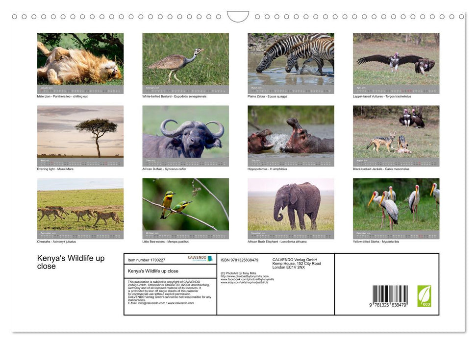 Kenya's Wildlife up close (CALVENDO Monthly Calendar 2025)