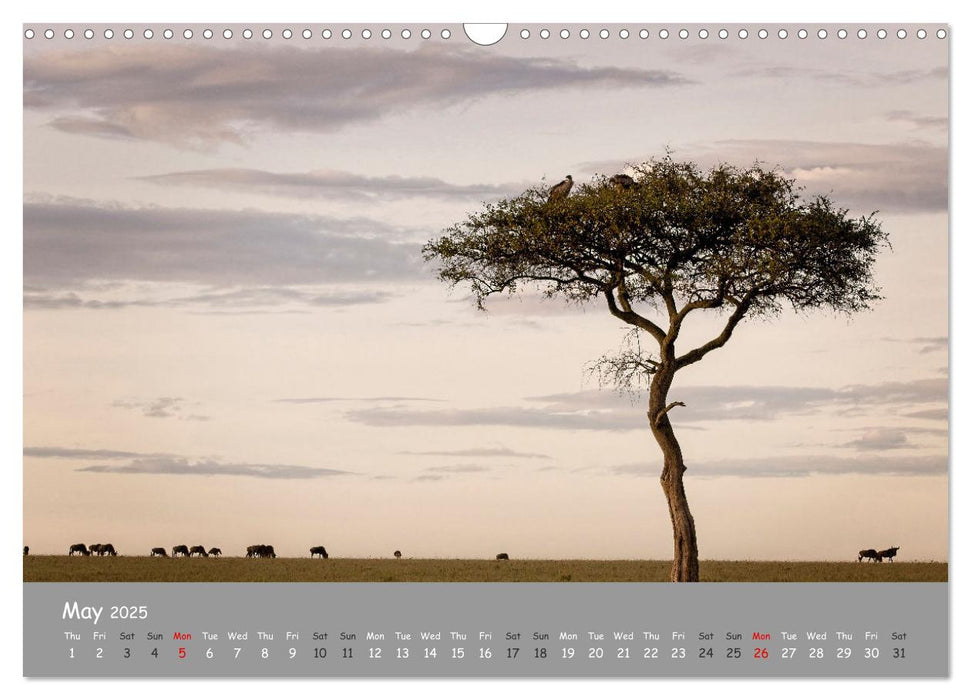 Kenya's Wildlife up close (CALVENDO Monthly Calendar 2025)