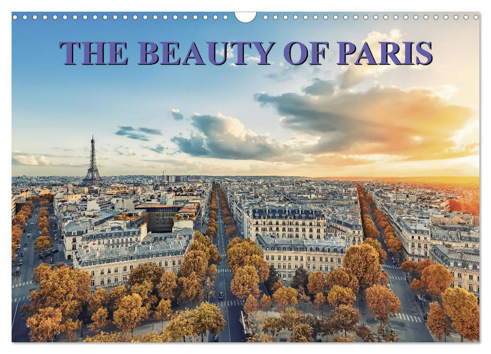 THE BEAUTY OF PARIS (CALVENDO Monthly Calendar 2025)