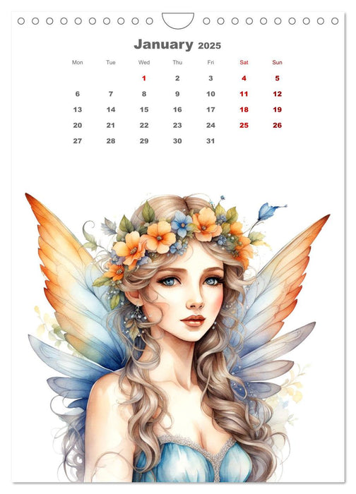 The fairies (CALVENDO Monthly Calendar 2025)