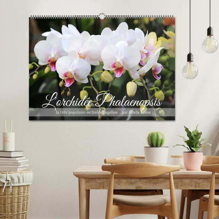 L'orchidée Phalaenopsis (CALVENDO Calendrier mensuel 2025)