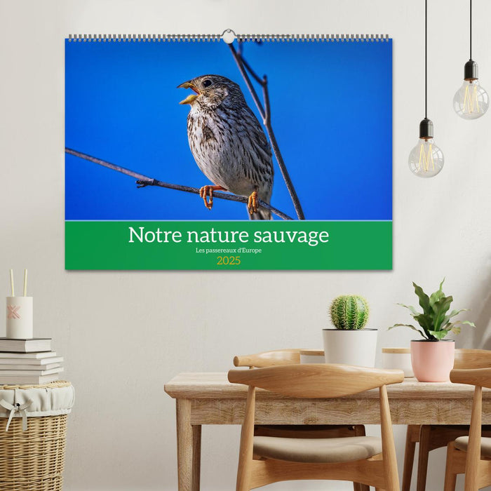 Notre nature sauvage, les passereaux d'Europe (CALVENDO Calendrier mensuel 2025)