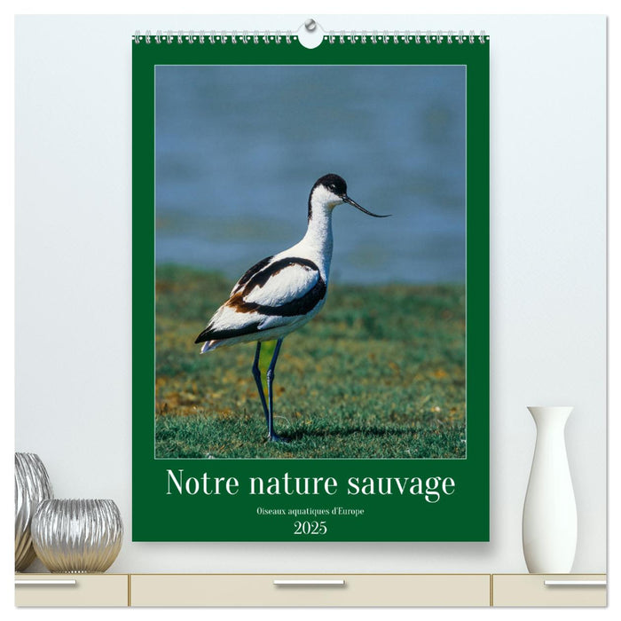 Notre nature sauvage, oiseaux aquatiques d'Europe (CALVENDO Calendrier supérieur 2025)