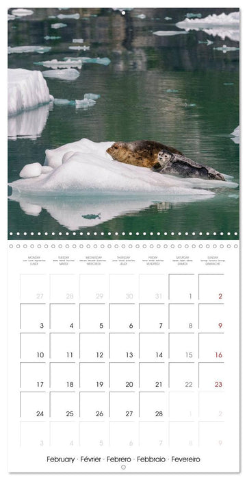 Wildlife in Alaska (CALVENDO Monthly Calendar 2025)