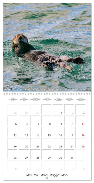 Wildlife in Alaska (CALVENDO Monthly Calendar 2025)