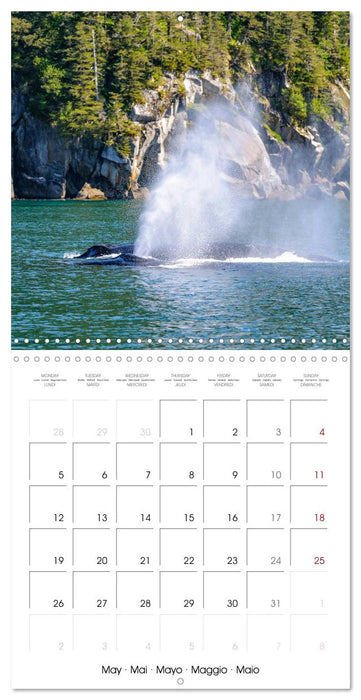 Enjoy Canada's Inside Passage (CALVENDO Monthly Calendar 2025)