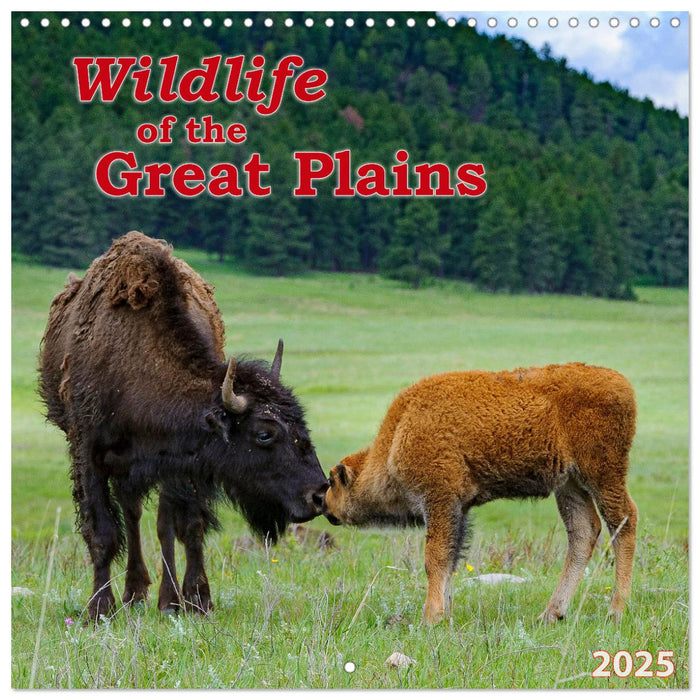 WILDLIFE of the GREAT PLAINS (CALVENDO Monthly Calendar 2025)