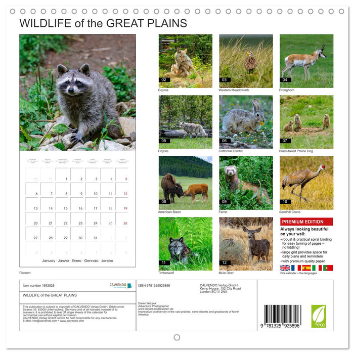 WILDLIFE of the GREAT PLAINS (CALVENDO Monthly Calendar 2025)