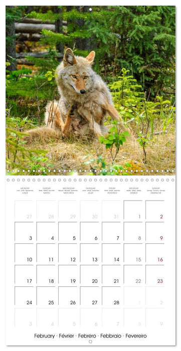 WILDLIFE of the GREAT PLAINS (CALVENDO Monthly Calendar 2025)