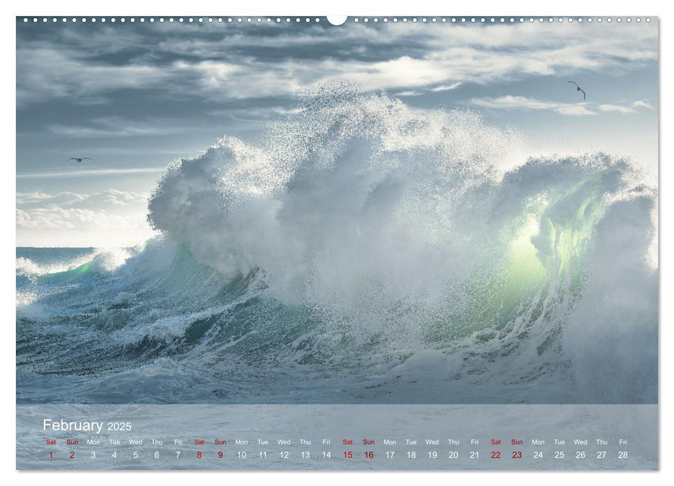 Blue Rhapsody (CALVENDO Premium-Calendar 2025)