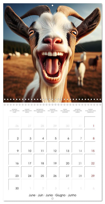 Joie animale - Une année de sourires et d'énergie positive (CALVENDO Calendrier mensuel 2025)