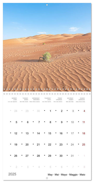 Un an dans le désert (CALVENDO Calendrier mensuel 2025)