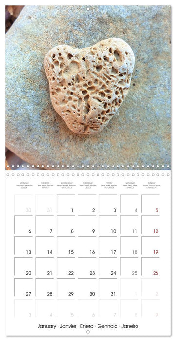 A year full of love for you (CALVENDO Monthly Calendar 2025)