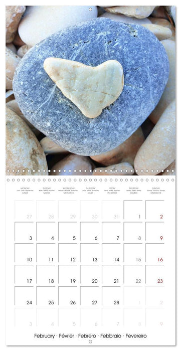 A year full of love for you (CALVENDO Monthly Calendar 2025)