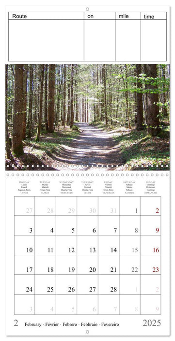 Just go for a run - your personal jogging successes (CALVENDO Monthly Calendar 2025)