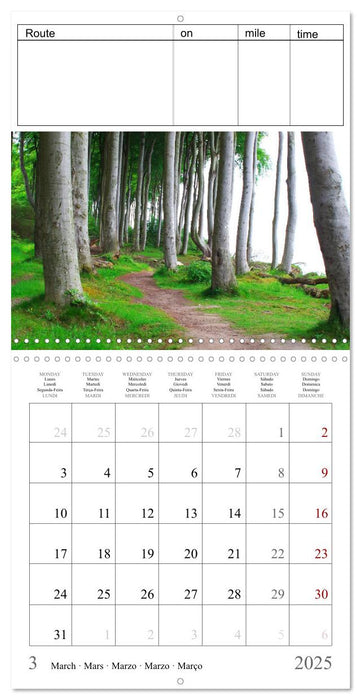 Just go for a run - your personal jogging successes (CALVENDO Monthly Calendar 2025)