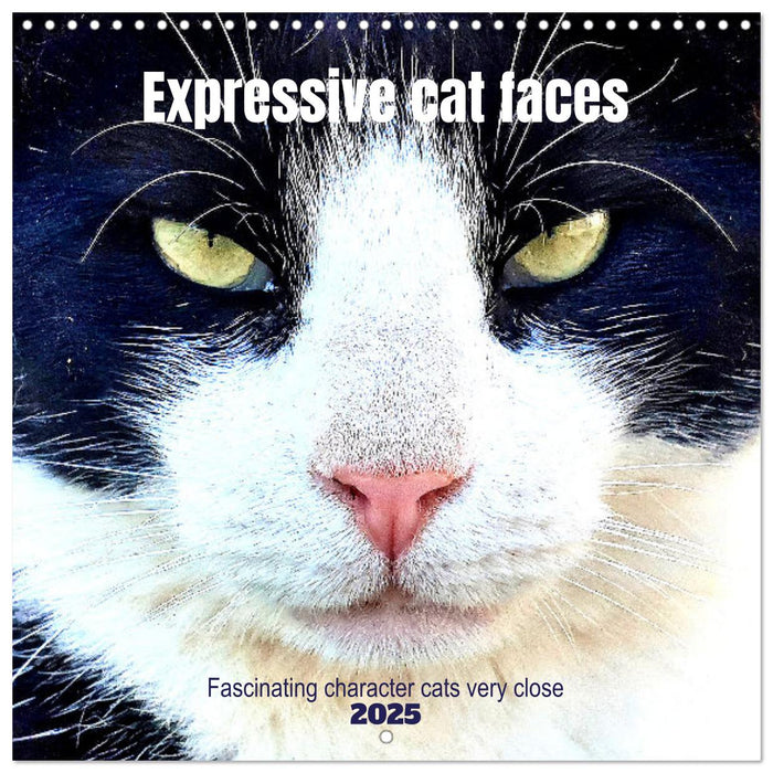 Expressive cat faces. Fascinating character cats very close (CALVENDO Monthly Calendar 2025)