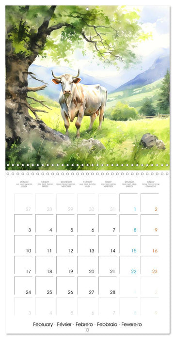 Country Cows (CALVENDO Monthly Calendar 2025)