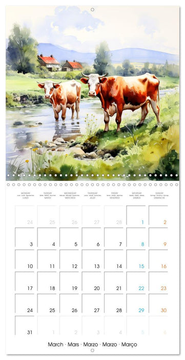 Country Cows (CALVENDO Monthly Calendar 2025)