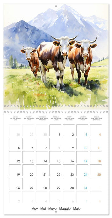 Country Cows (CALVENDO Monthly Calendar 2025)