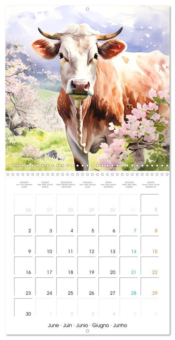 Country Cows (CALVENDO Monthly Calendar 2025)